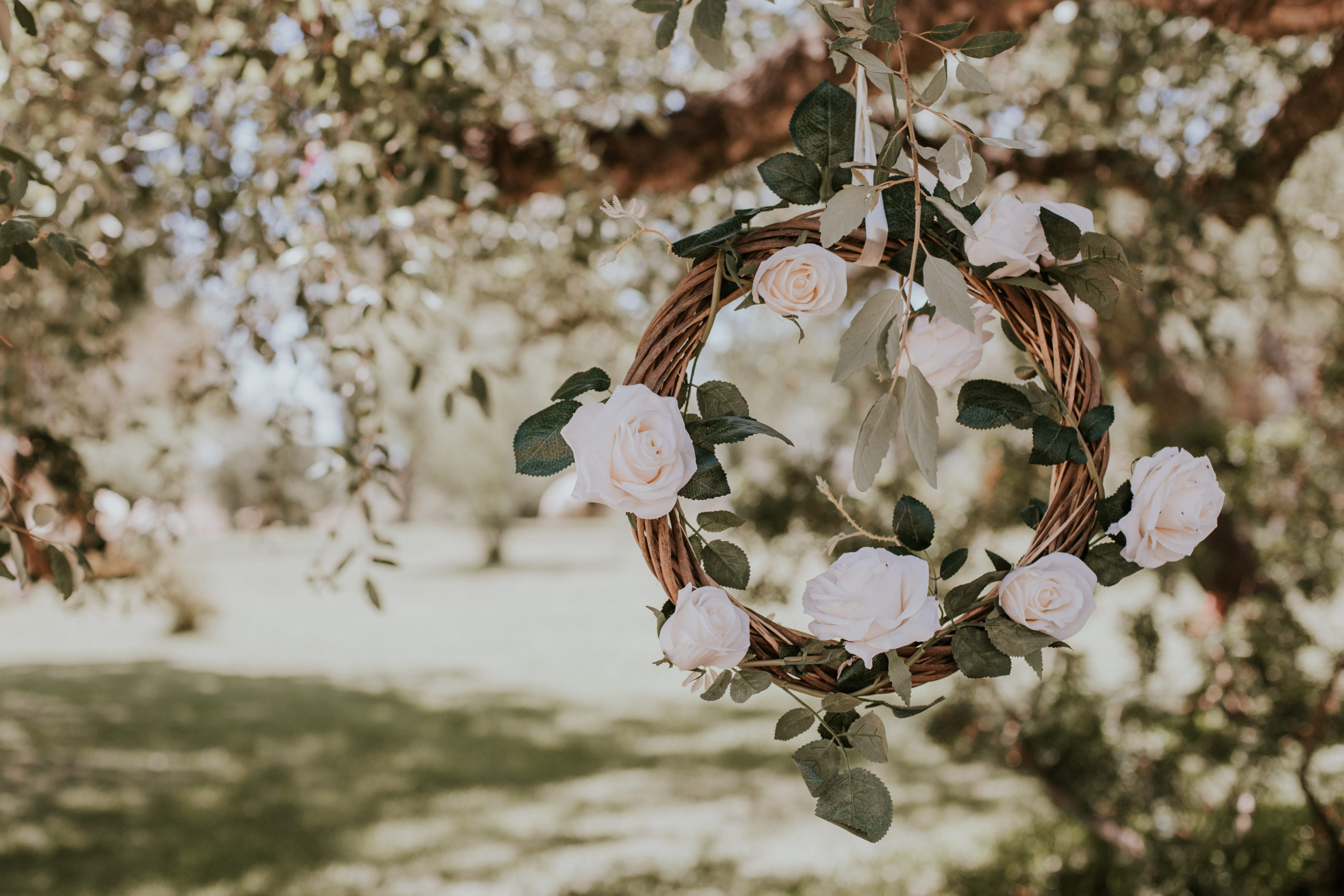 Foto de Ivo Sousa - flores decorativas colgadas en arbol-
